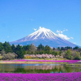 英語を話すドライバーと富士山と箱根を巡るプライベートツアー
画像：Viator