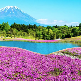 東京発 富士山フォトジェニック日帰り観光バスツアー 忍野八海など（山梨県）
画像：KKday