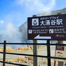 富士山＆箱根 六大絶景 水陸空制覇 日帰り旅｜芦ノ湖 水上鳥居＆箱根神社＆海賊船＆大涌谷（ロープウェイ乗車券付き）＆山中湖＆忍野八海（東京発）
画像：Klook