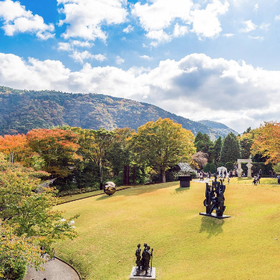 東京箱根：富士山、大涌谷、野外博物館、箱根神社
画像：Viator