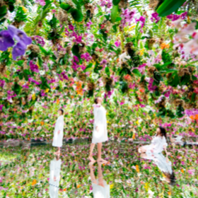 [teamLab Planets TOKYO Ticket]
Photo: (Klook)