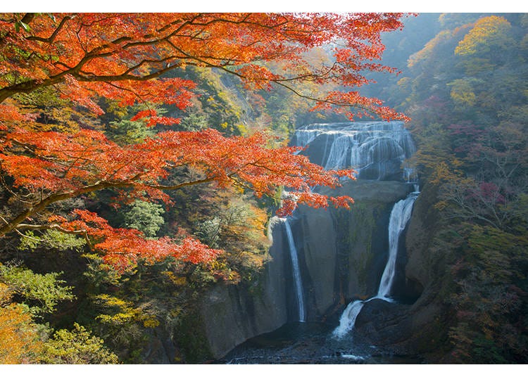 Image courtesy of PIXTA