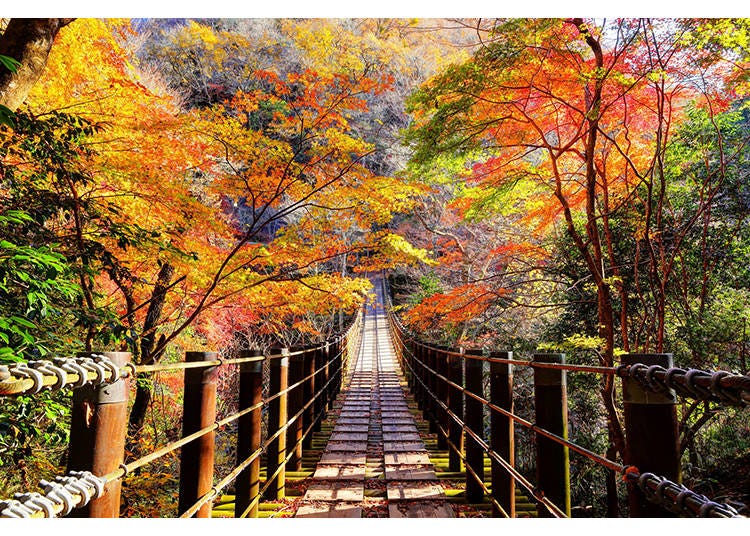 Image courtesy of PIXTA