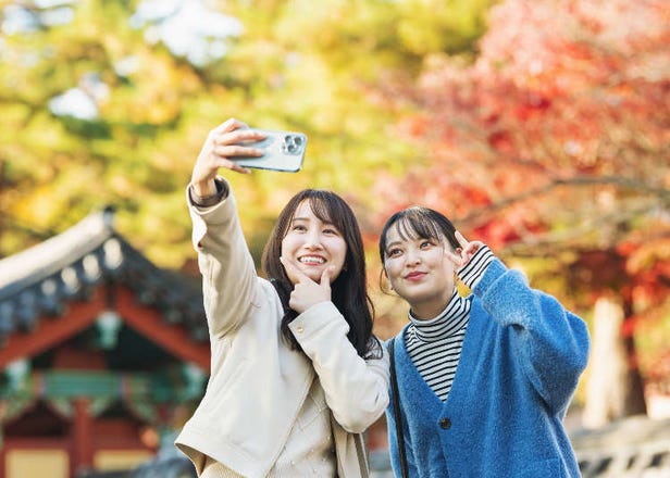 Autumn in Japan 2025: Festivals, Holidays & Must-See Spots from September to November