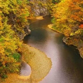 Hokkaido Autumn Foliage Tour from Sapporo｜Jozankei, Hoheikyo, Fruit Picking, Sake Tasting & Otaru Canal
Details & Bookings ▶
Photo: KKday
