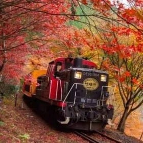 Kyoto｜Sagano Romantic Train One-Way Ticket (Saga–Kameoka)
Details & Bookings ▶
Photo: KKday