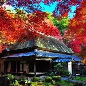 Kyoto Autumn Day Tour｜Enryaku-ji, Hachiman-bori, Ishi-no-dera & Kyōrinbō Night Lights
Details & Bookings ▶
Photo: KKday