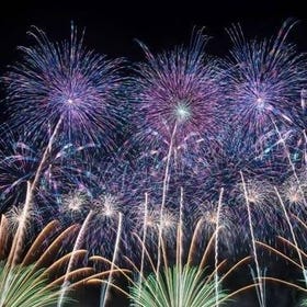 Ibaraki｜Oarai Fireworks & Chōkuro Festival Day Tour
Details & Bookings ▶
Photo: KKday
