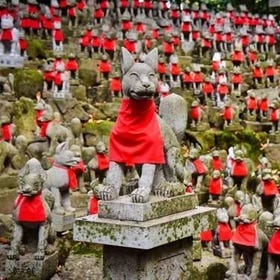 Aichi｜30th Fire Festival “Shimotsuki Honō no Mai” Day Tour
Details & Bookings ▶
Photo: KKday