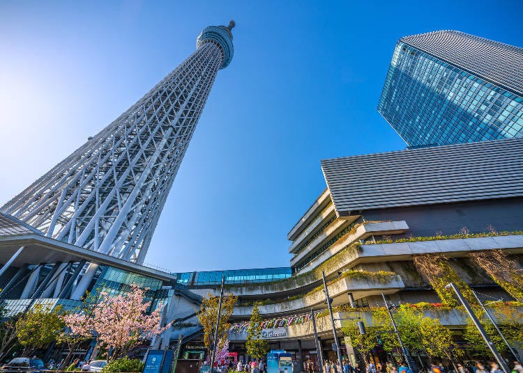 東京晴空塔（圖片素材 :Pixta）