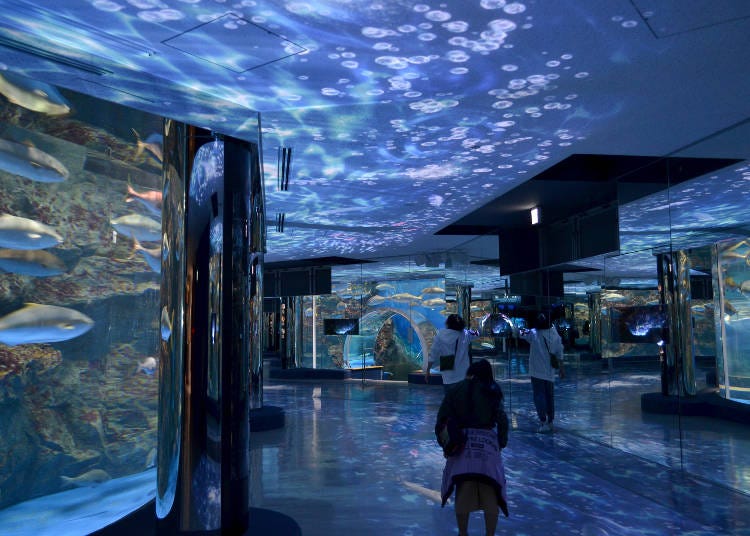 Notojima Aquarium (Photo: PIXTA)