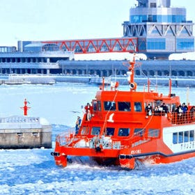 2-Day Icebreaker and Sounkyo Ice Festival Tour with Asahiyama Zoo (from Sapporo)
Photo: Klook