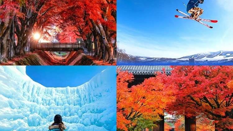 (12% OFF KKday Coupon) Mt. Fuji Autumn Leaves, Powder Snow & More! 15 Best Tours to Experience Japan in Fall & Winter