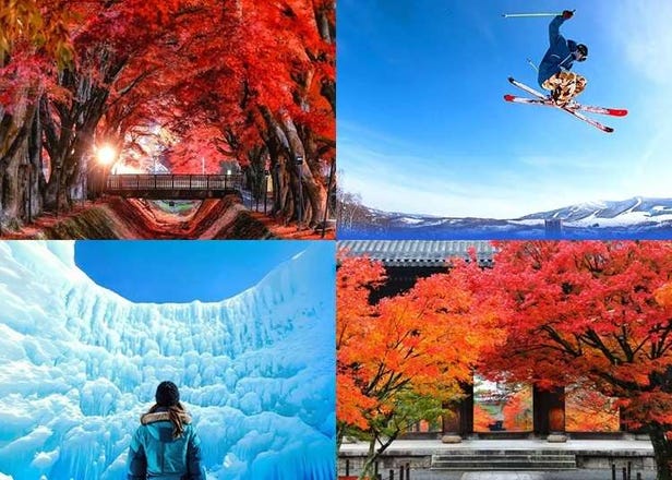 【KKday獨家12%OFF優惠券】富士山、京都楓紅＆粉雪滑雪體驗！玩遍秋冬日本的15大人氣行程