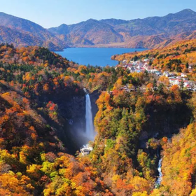 Nikko Autumn Leaves & Toshogu Shrine Tour
Image source: KKday
from JPY 19,900