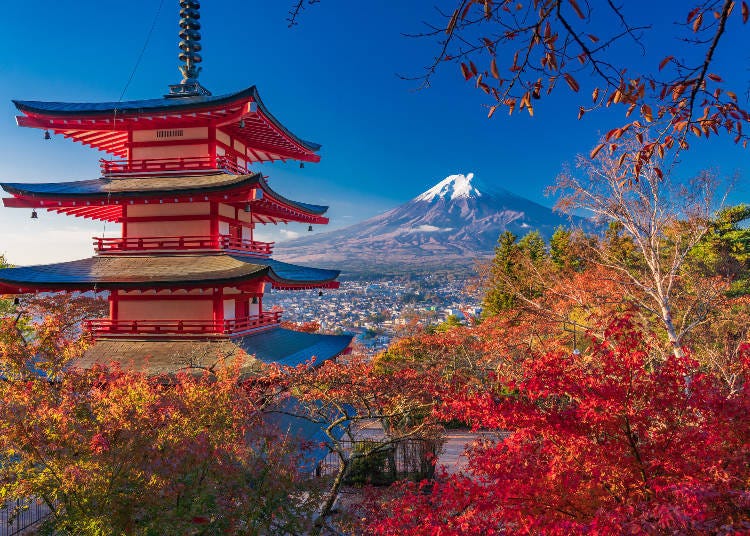 【秋之絕景】享受楓紅與日本文化
