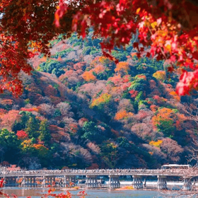 嵐山・渡月橋楓紅觀光