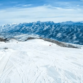 [東京出發] 白馬（Hakuba）粉雪體驗當日來回滑雪團