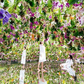 東京豐洲 teamLab Planets TOKYO 門票
圖片來源：Klook
