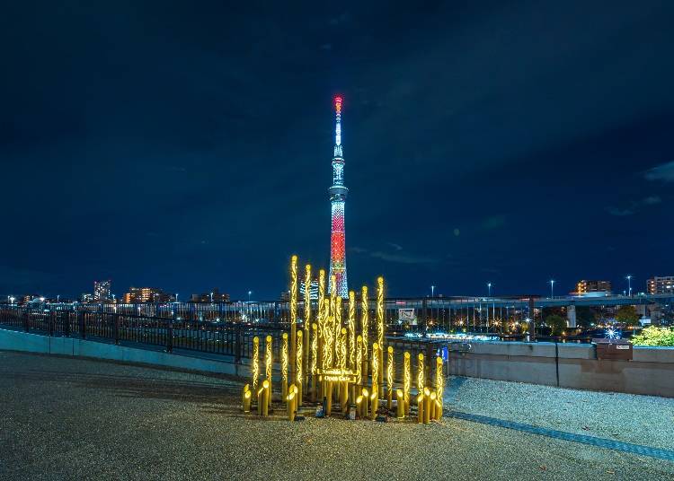 5.【カフェと絶景】タリーズコーヒー花川戸隅田公園店