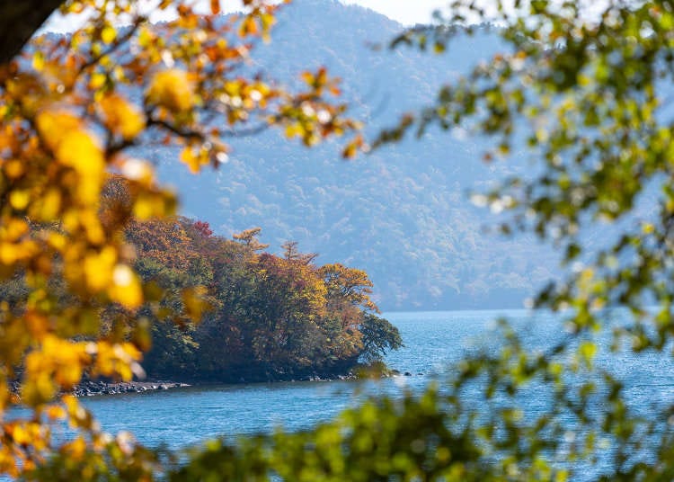 2025 Japan Autumn Color Report: Northeastern Japan Nearing Peak