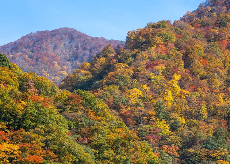 Kurobe Gorge (Toyama Prefecture)