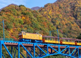 2025 Autumn Colors Report: Kurobe Gorge Nearing Peak