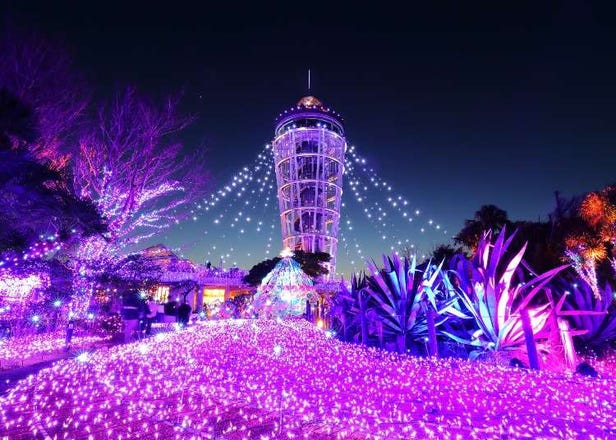 Enjoy Japan's Gorgeous Winter Lights! Ride the Romancecar to Shonan no Hoseki Illumination