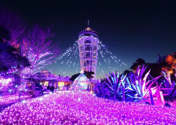 Enjoy Japan's Gorgeous Winter Lights! Ride the Romancecar to Shonan no Hoseki Illumination