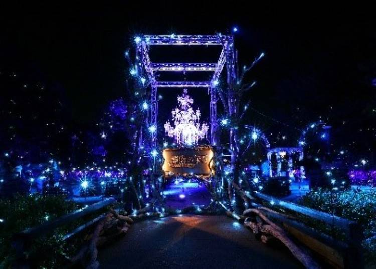 A Highlight of Your Japan Winter Trip! About "Shonan no Hoseki"