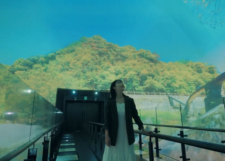 見どころ４　球体内部で映像を体験する「シアター36○」