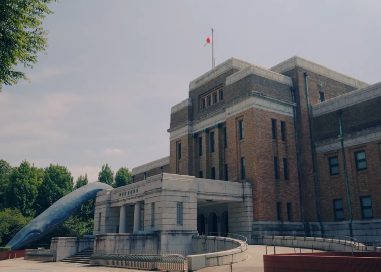 地球上最大的动物——全长30米的蓝鲸实物大小模型作为标志