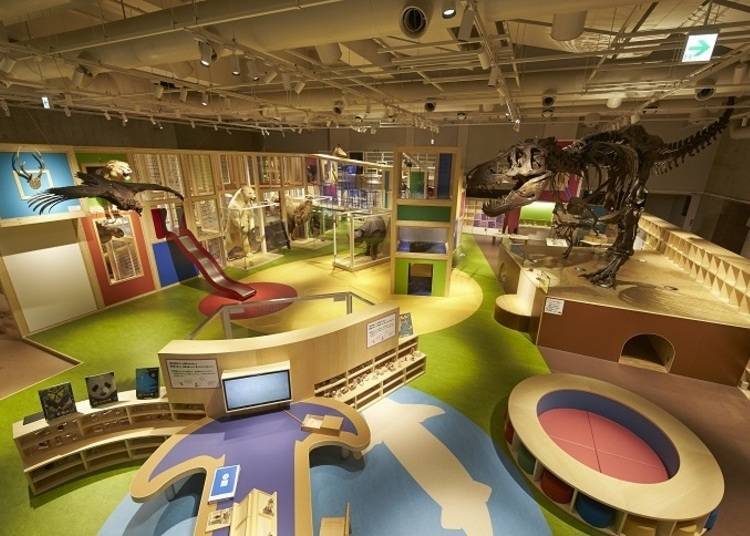 圖片提供：國立科學博物館