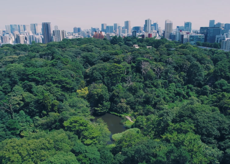 JR目黒駅から徒歩9分。
東京都心に残された奇跡の森「自然教育園」