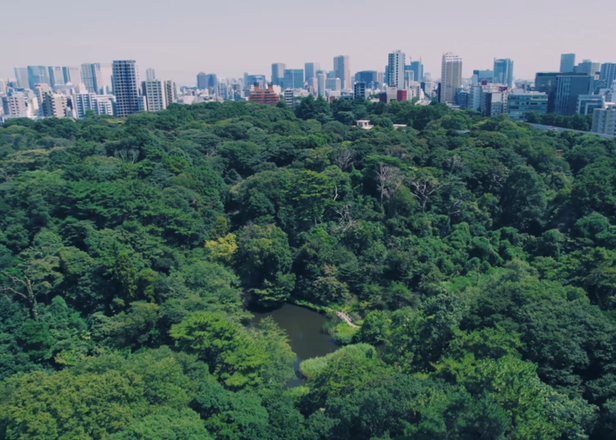 JR目黑站 步行9分钟
留存在东京都心的奇迹森林&mdash;&mdash;&ldquo;自然教育园&rdquo;