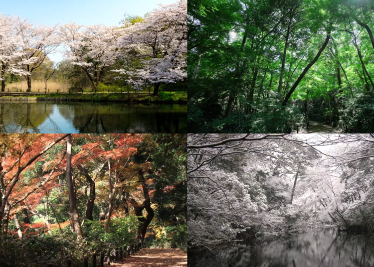 Photo: Institute for Nature Study