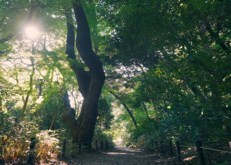 Not just a park, a living museum