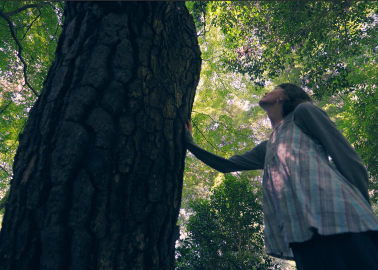 When you seek solace, visit the Institute for Nature Study