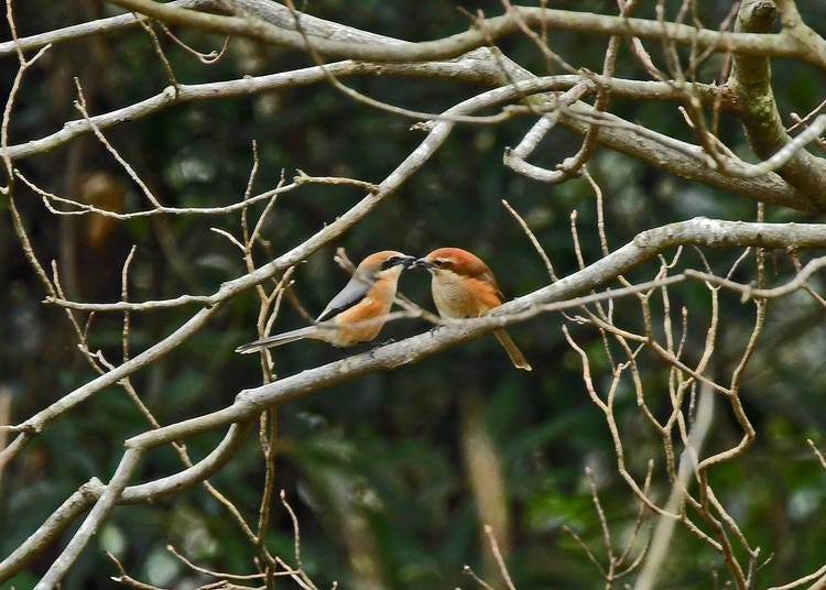 사진 제공: 자연교육원