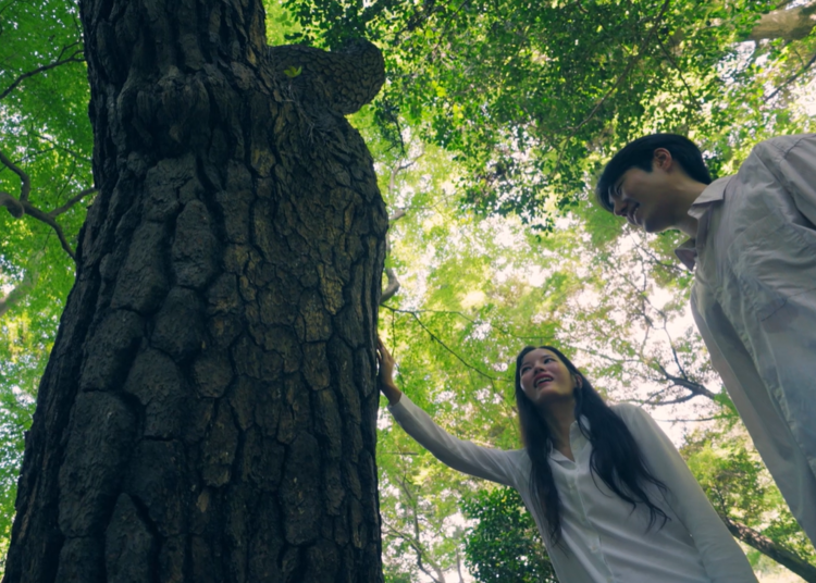 힐링을 하고 싶어진다면 자연교육원으로
