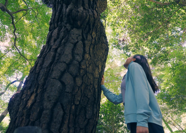 想要寻求治愈,就到自然教育园