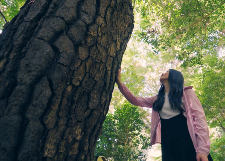 想尋求療癒時，就到自然教育園吧！