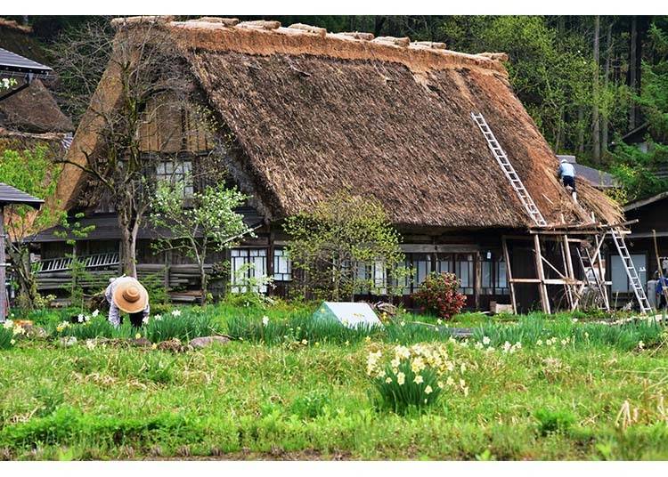 Shirakawa-go, the World Heritage site captivating people from around the world