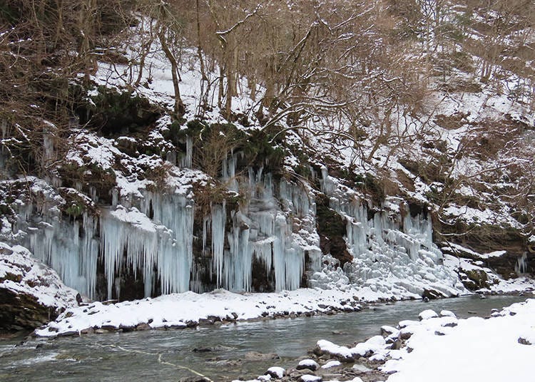 Photo courtesy of the Saitama Prefecture Products & Tourism Association. Reproduction