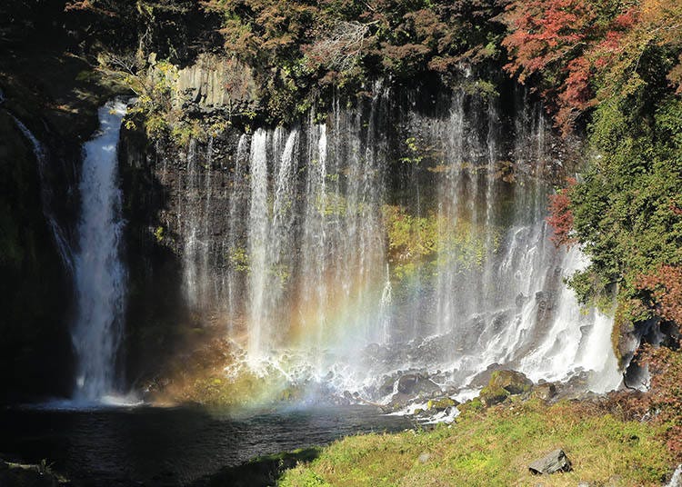 写真提供:静岡県観光協会