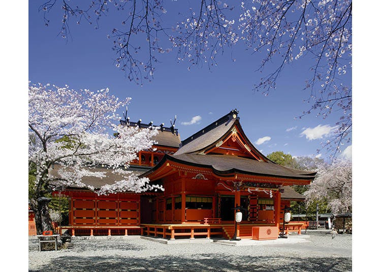 Photo courtesy of the Shizuoka Prefectural Tourism Association