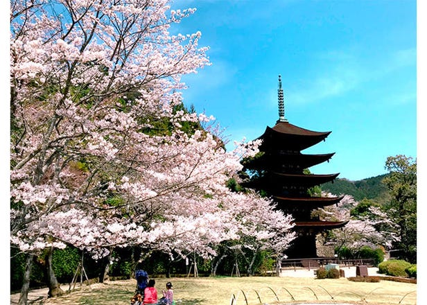 廣受世界矚目的「西之京都」：巡遊洋溢歷史與溫泉風情的山口市之旅