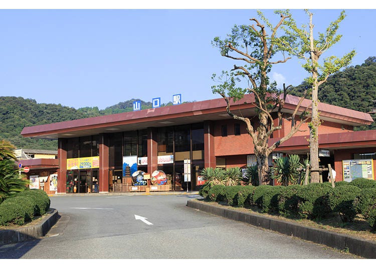 Image courtesy of PIXTA