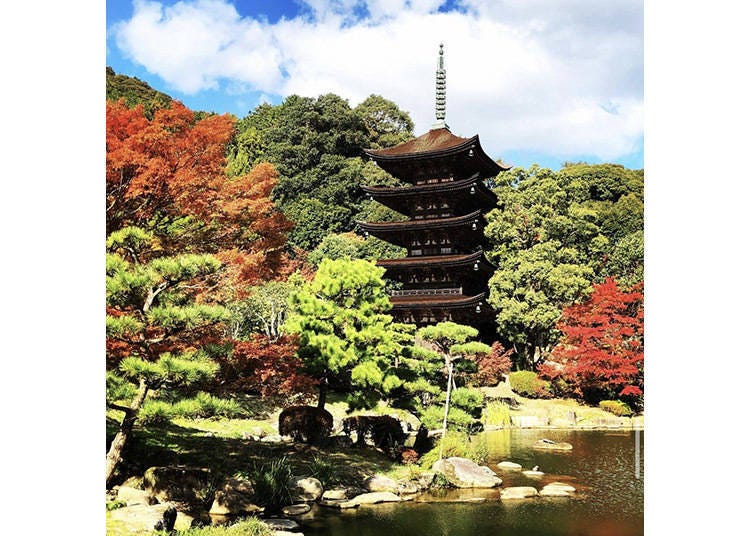 &copy; Yamaguchi Prefectural Tourism Federation