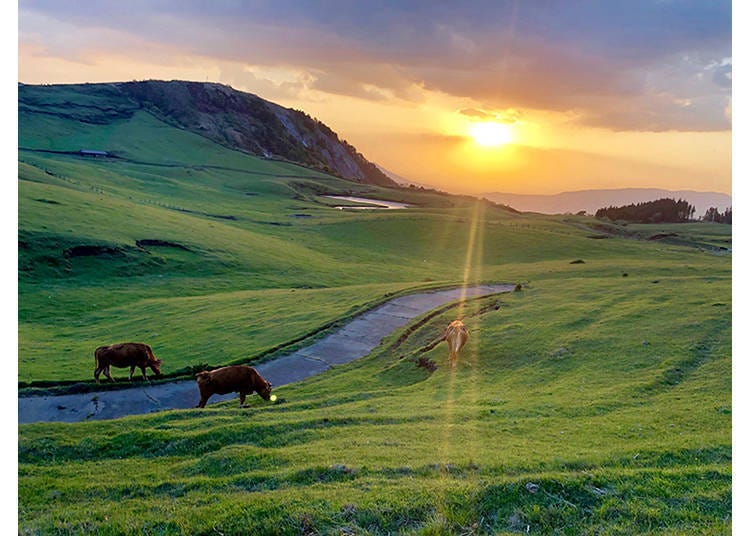 © Kumamoto Prefecture Tourism Federation